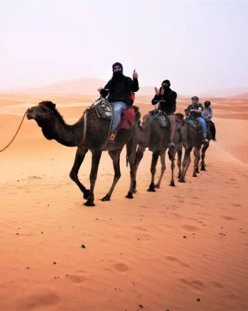 Circuits Désert & Aventure