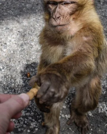 Circuits Nature & Randonnée