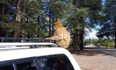Circuit Privé de Désert 8 Jours au Départ de Marrakech : Cœur du Maroc et Merveilles du Sud