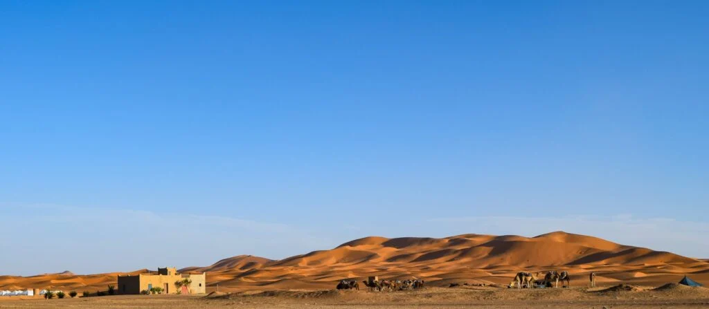 Le désert de Merzouga Maroc : guide complet pour une expérience inoubliable 13 Erg Chebbi ou Erg Chigaga