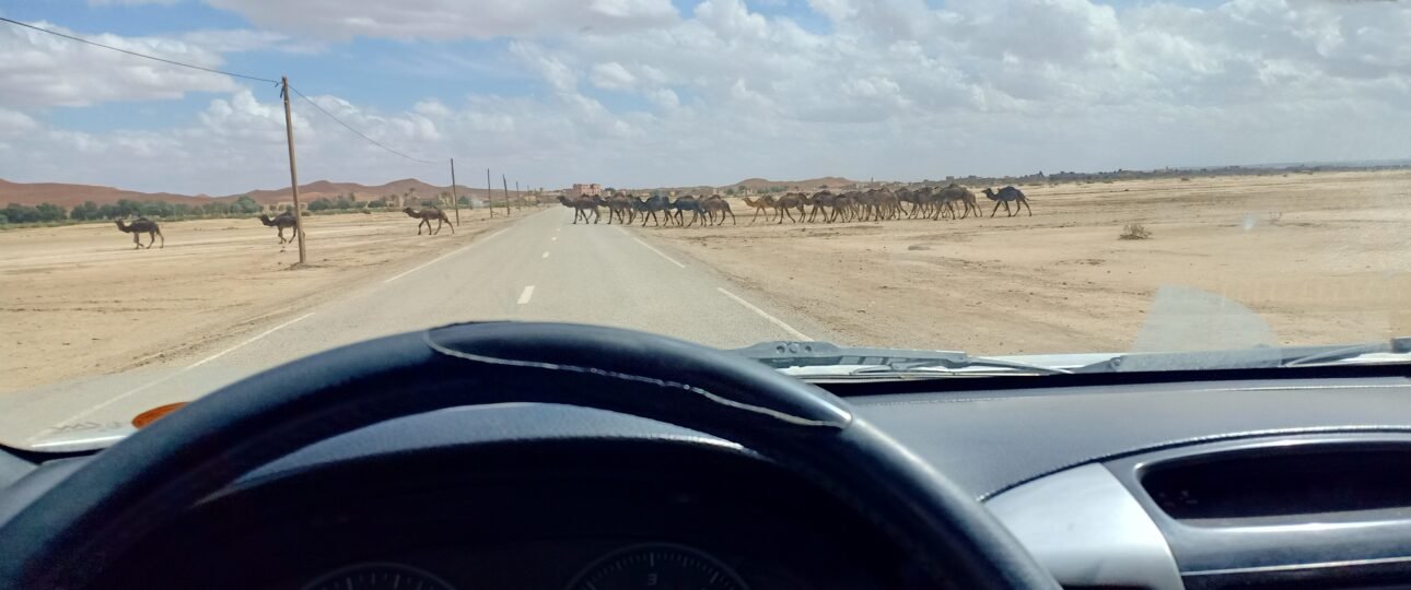 Voyage personnalisé Maroc