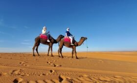 circuit Maroc 11 jours