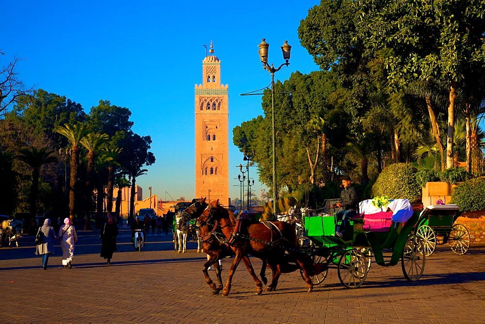 tours privés de Maroc