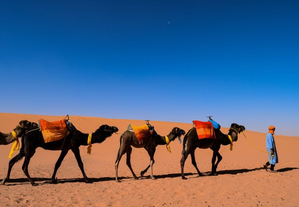 désert de Merzouga Maroc,désert de Merzouga,Merzouga Maroc Le désert de Merzouga Maroc : guide complet pour une expérience inoubliable