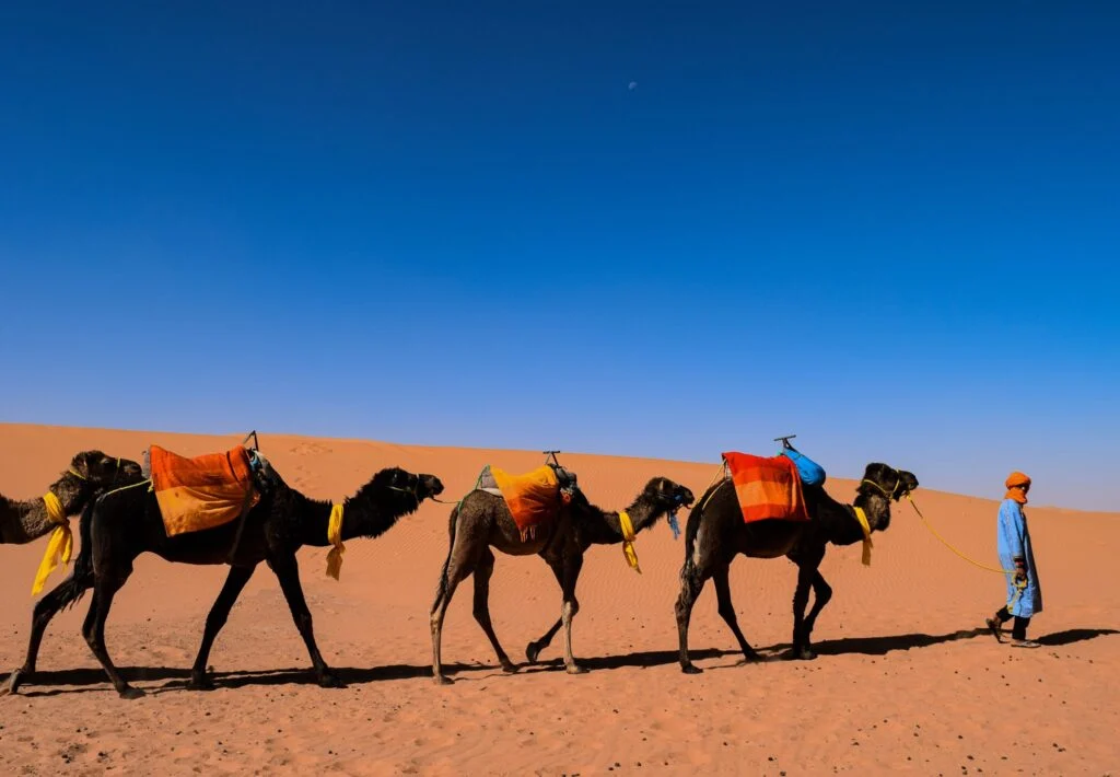 Le désert de Merzouga Maroc : guide complet pour une expérience inoubliable 9 désert de Merzouga Maroc,désert de Merzouga,Merzouga Maroc Le désert de Merzouga Maroc : guide complet pour une expérience inoubliable