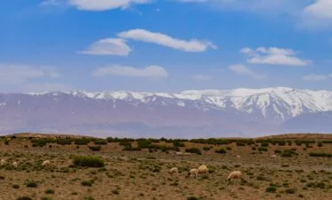 circuit désert depuis Agadir