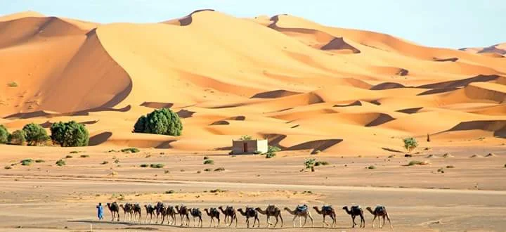 circuit privé du désert maroc