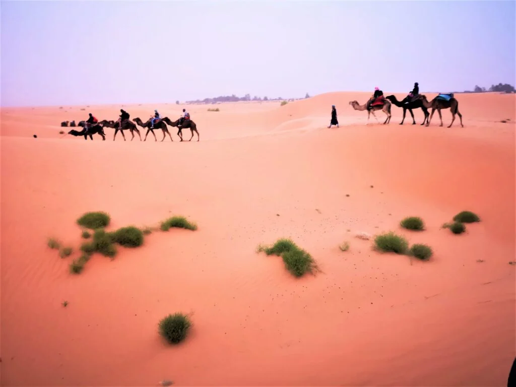 Circuit désert Fès 3 jours vers Marrakech