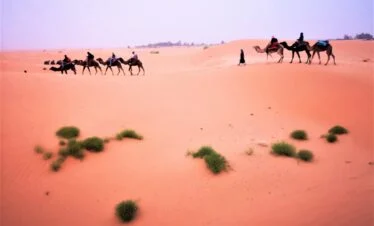 Circuit désert Fès 3 jours vers Marrakech