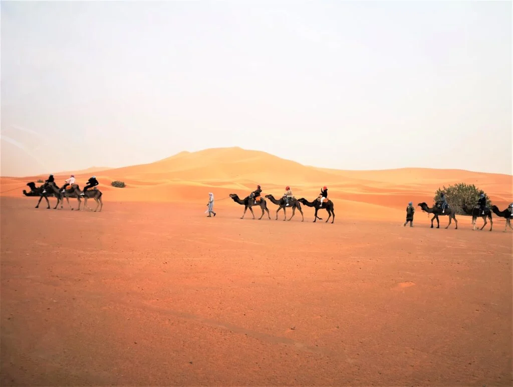 Circuit désert Fès Marrakech – 4 jours