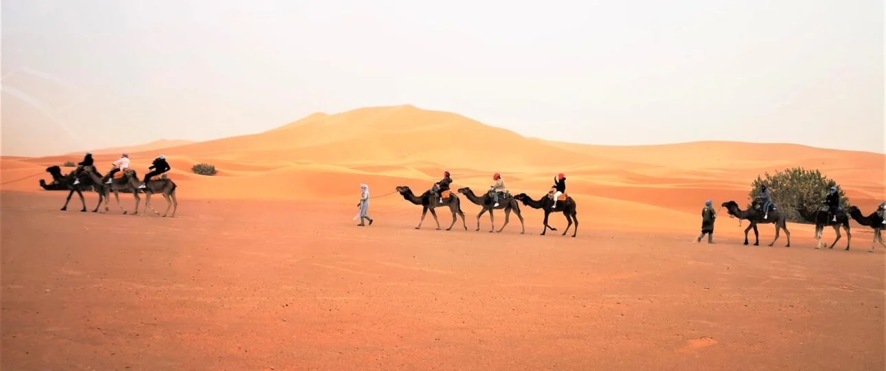 Circuit désert Maroc : Guide complet des meilleurs circuits privés vers Merzouga et Zagora 1 Circuit désert Fès Marrakech – 4 jours