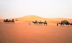 Circuit désert Fès Marrakech – 4 jours