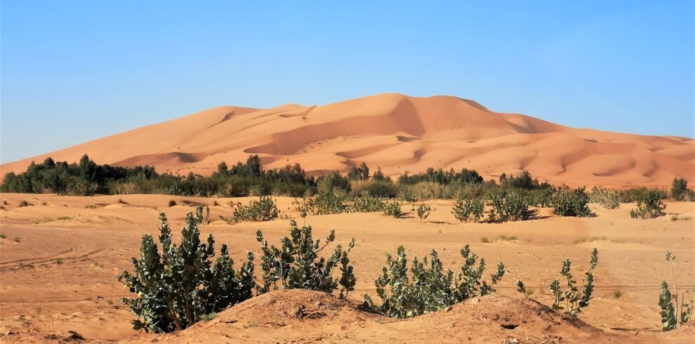 Circuit désert Fès Marrakech 4 jours