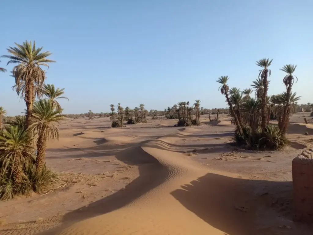 Erg Chebbi ou Erg Chigaga Erg Chebbi ou Erg Chigaga : Quel Désert Choisir pour Votre Aventure au Maroc ?